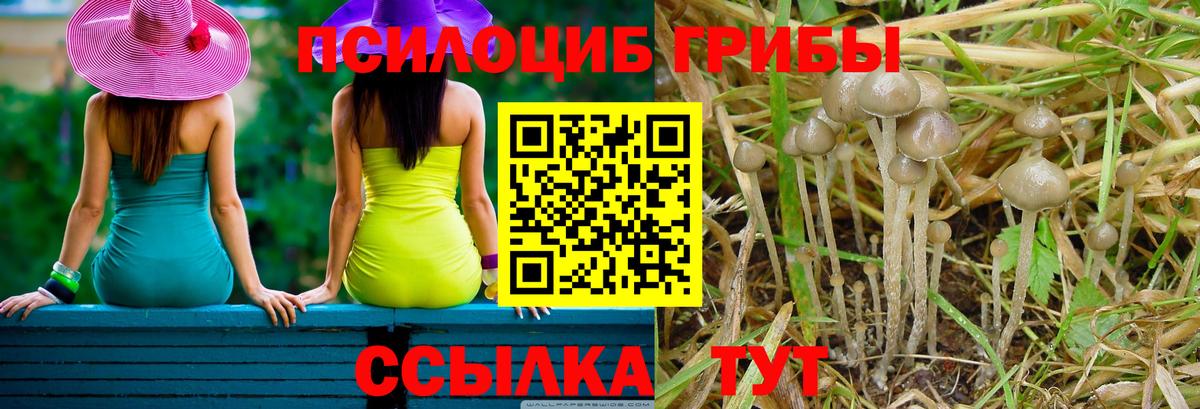 Псилоцибиновые грибы мухоморы Татарск