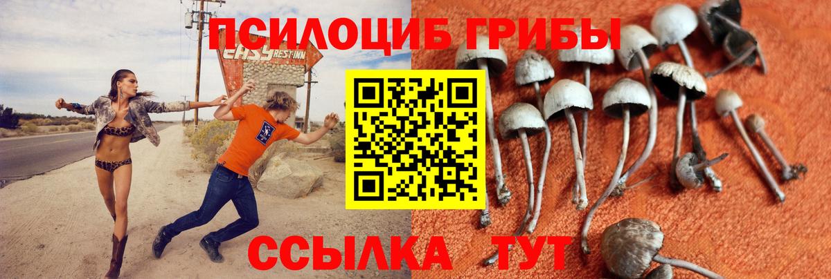 Галлюциногенные грибы Cubensis  дарнет шоп  Татарск  Вход с VPN 